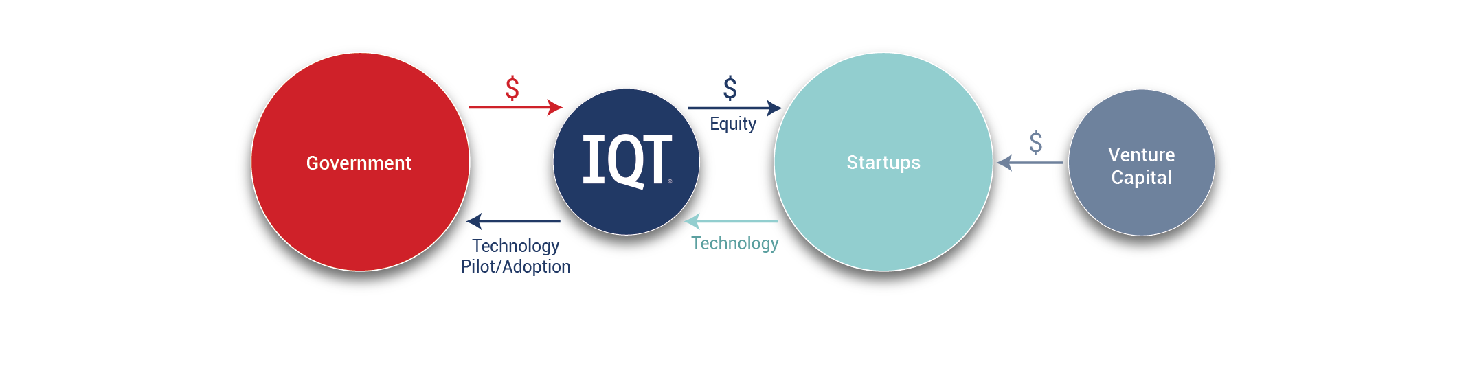 IQT model