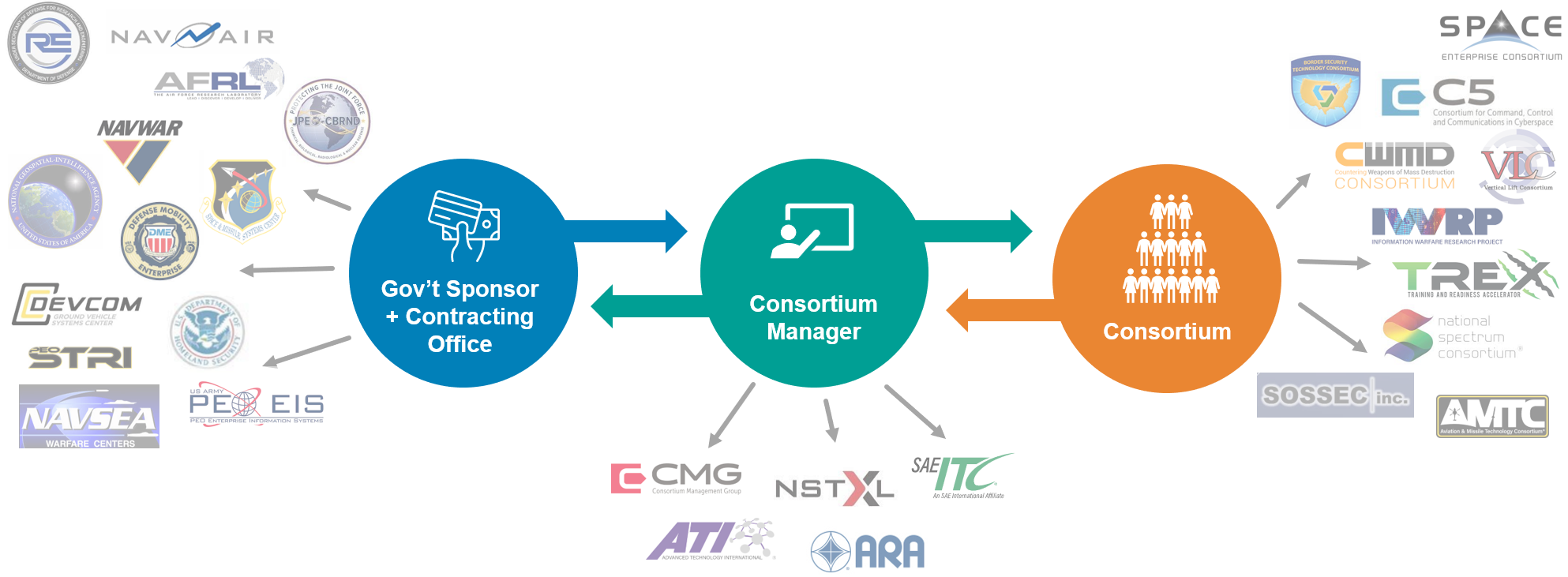 consortia model graphic