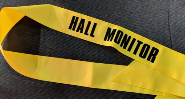 hall monitor sash