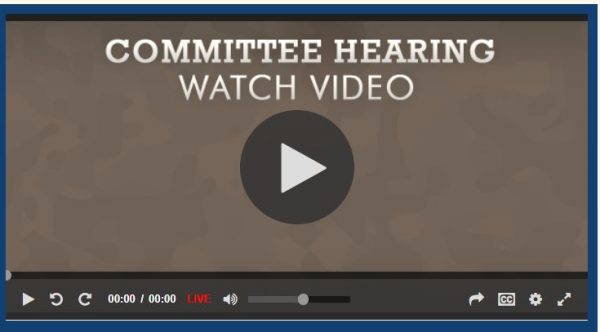 Committee Hearing Video